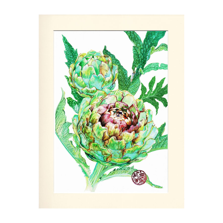 2 Artichokes- A Gift From France