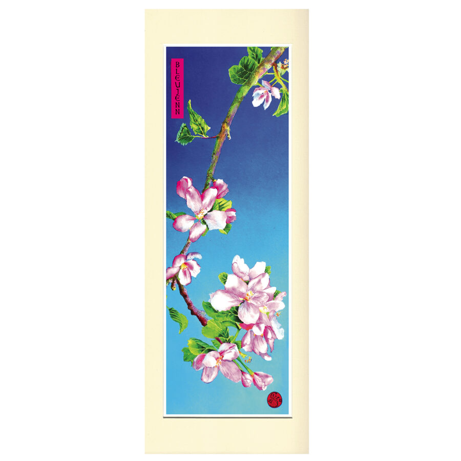Bleujenn - Blossom 17cm 50cm