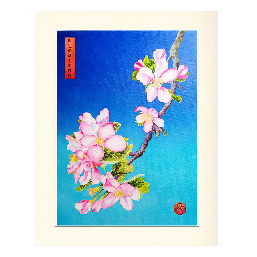 Bleujenn - Blossom (Oban)