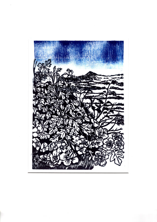 Past Hawthorns (Blue 2)