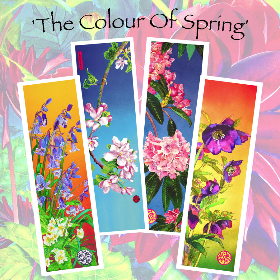 The Colour Of Spring - Long Card Collection