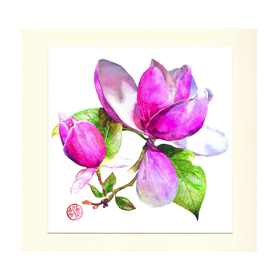 Magnolia - Hendorgor  (For 40cm x 40cm Frame)