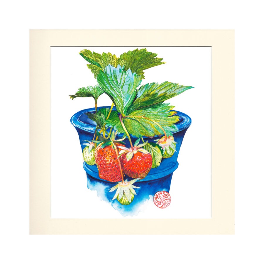 Strawberries (For 40cm x 40cm Frame)