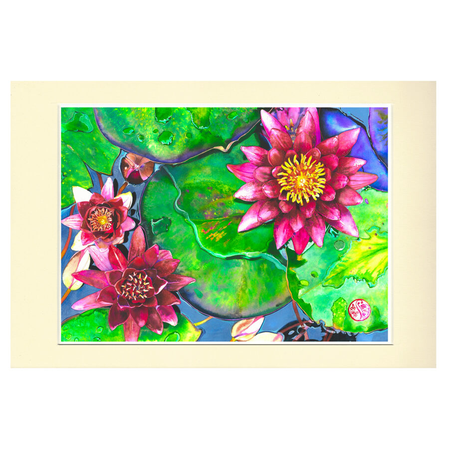Water Lilies - Bodnant (For 50cm x 40cm Frame)