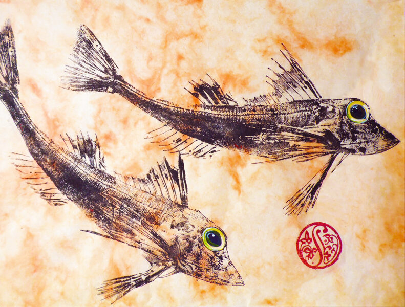 2 Gurnard On Mottled Coral