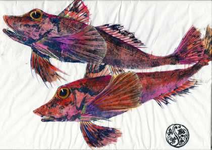 2 Gurnard On Salt