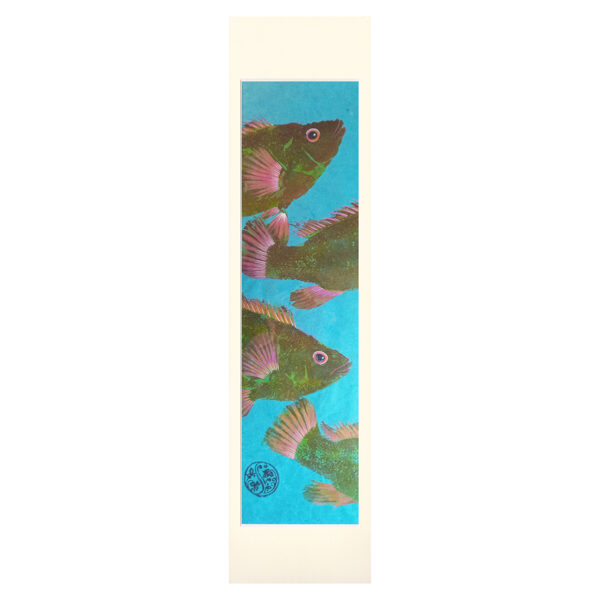 2 Wrasse On Cornflower