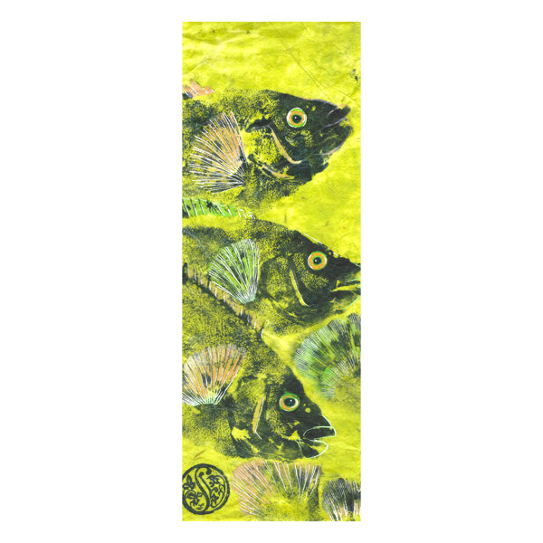 3 Wrasse On Lime