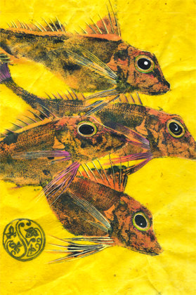 4 Gurnard (Pink Fins) On Lemon