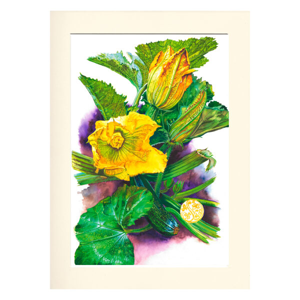 Courgette Flower
