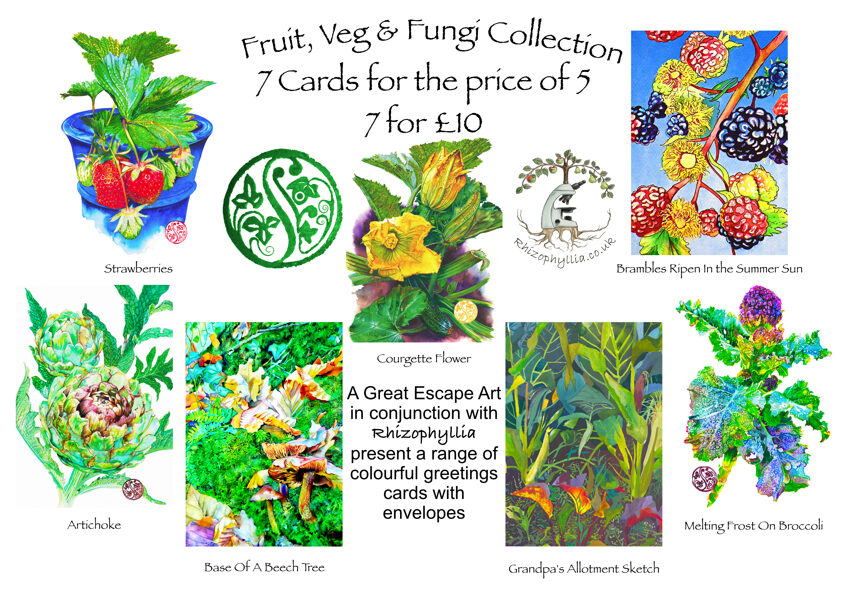 Fruit & Veg Card Collection