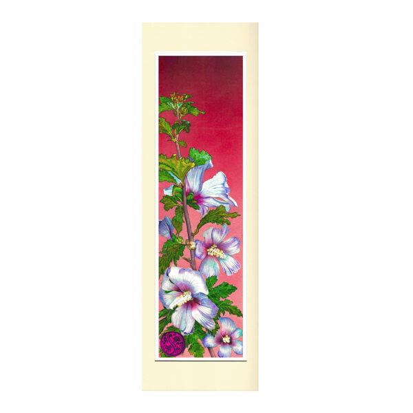 Hibiscus 11cm 50cm