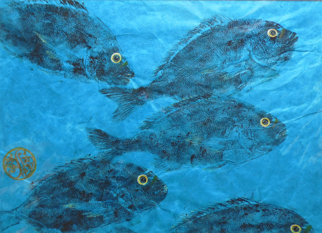 Gilt Head Sea Bream Shoal On Azure