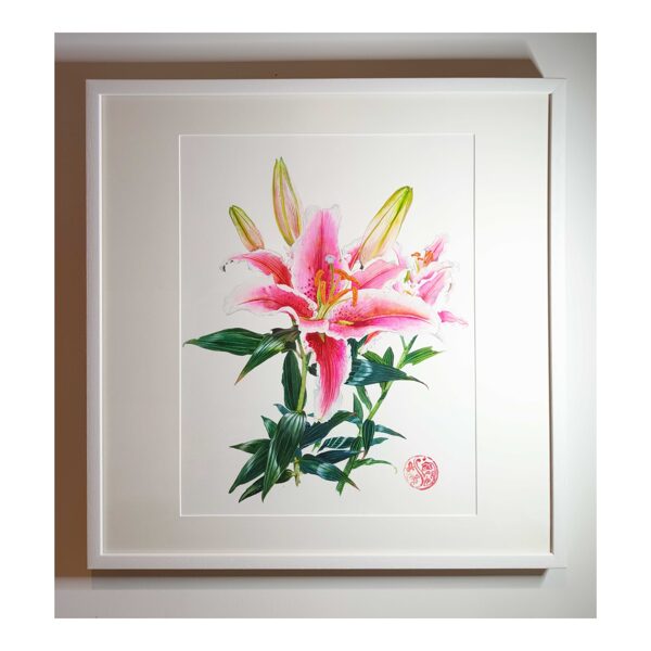 Stargazers