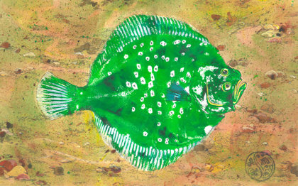 Turbot On Seabed