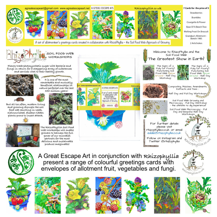 Rhizophyllia Card Pack